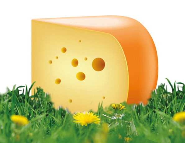 Noord Hollandse Gouda
